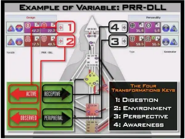 Screenshot-2025-03-10-161505-600x449.jpg ADHD